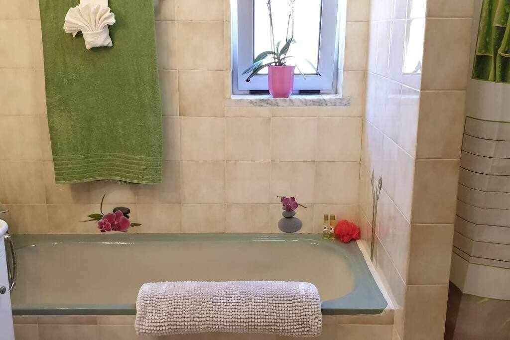 فيلا Ria Formosa Pineview فارو المظهر الخارجي الصورة