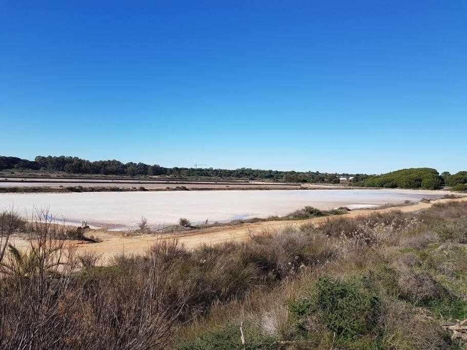 فيلا Ria Formosa Pineview فارو المظهر الخارجي الصورة